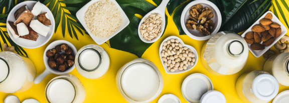 Convenient and Healthy Egg Substitutes