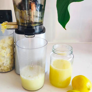 froothie best lemon juicer australia slow juicer
