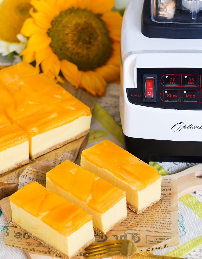 Optimum 9200A 2nd Gen Vs Ninja Models - Top Blender Comparison Review