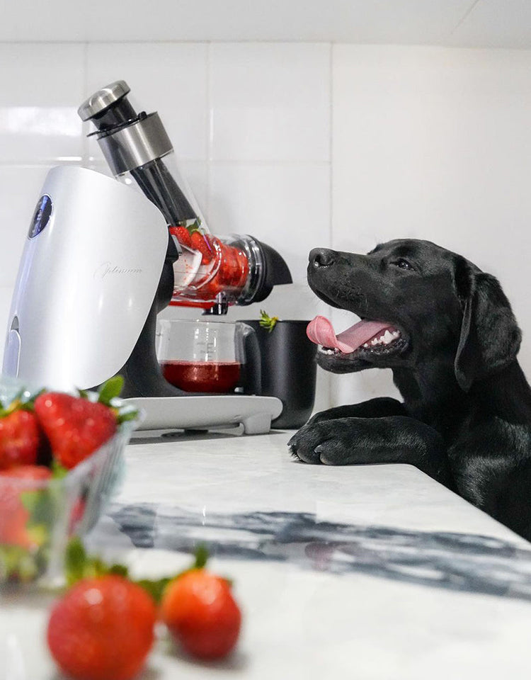 OPTIMUM H3000 2nd Gen - COLD PRESS BIG MOUTH JUICER
