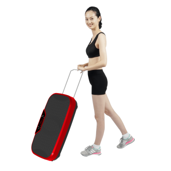 Vibrofit Pro X - The Ultimate Multi-Directional Vibration Fitness Plate