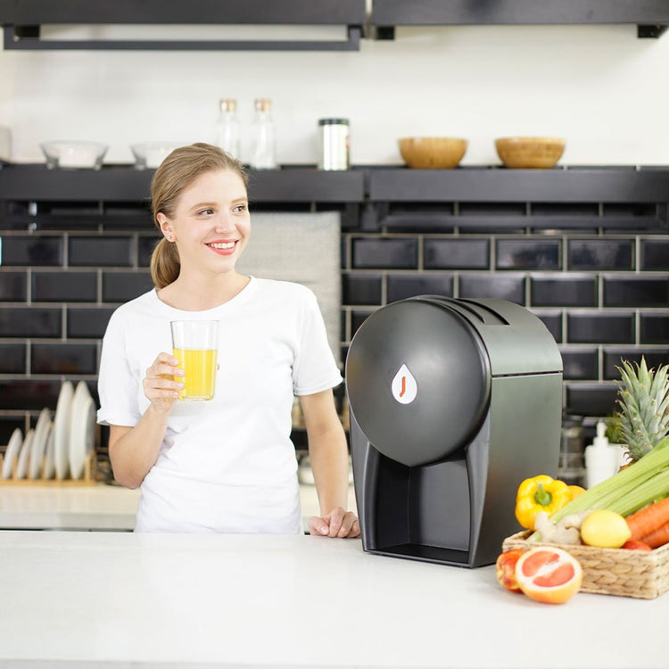 Ex-Demo JUlaVIE Cold Press Juicer