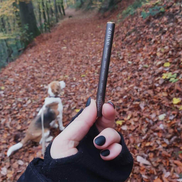 ZENSE PORTABLE ESSENTIAL OIL DIFFUSER