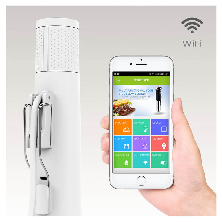 ThermoVide 2.0 Sous Vide - The Secret To Perfect Precision Cooking