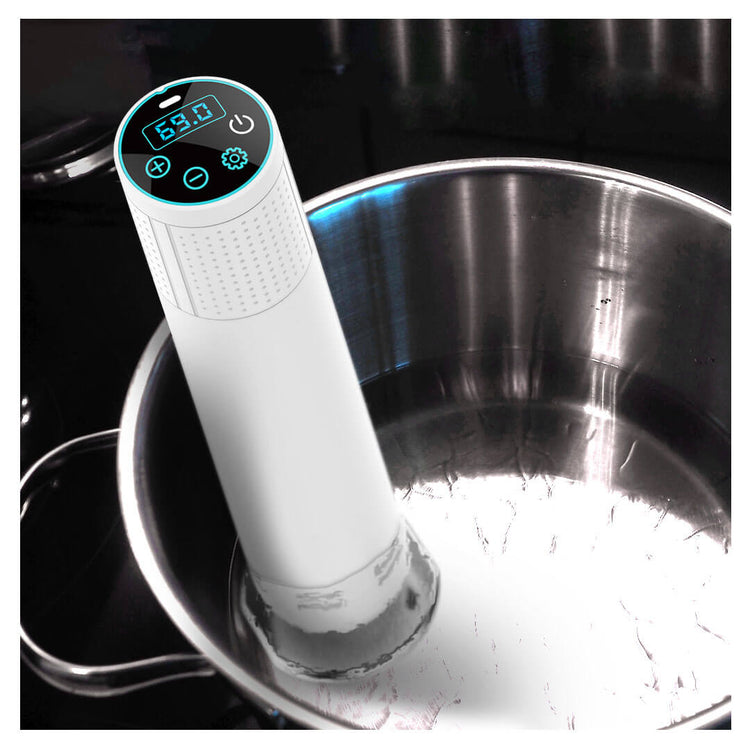 ThermoVide 2.0 Sous Vide - The Secret To Perfect Precision Cooking