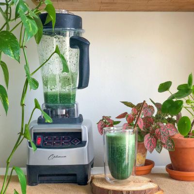 celery juice in blender