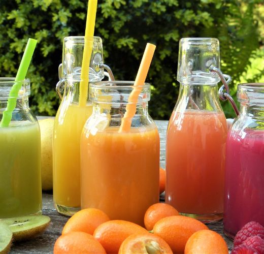 fruit juicer