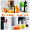 Thumbnail for Collage of a 600M slow juicer with various fruits and vegetables, glasses of juice, and text 'More Juice - Less Pulp'.