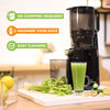 Thumbnail for Optimum 600XXL Vs Mod - Cold Press Slow Juicer Comparison Review