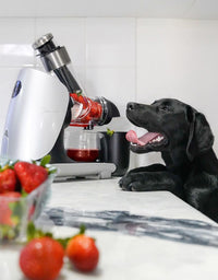 Thumbnail for Optimum H3000 VS Hurom Juicer Models